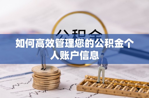 便民如何高效管理您的公积金个人账户信息