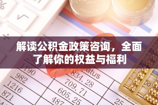 便民解读公积金政策咨询，全面了解你的权益与福利