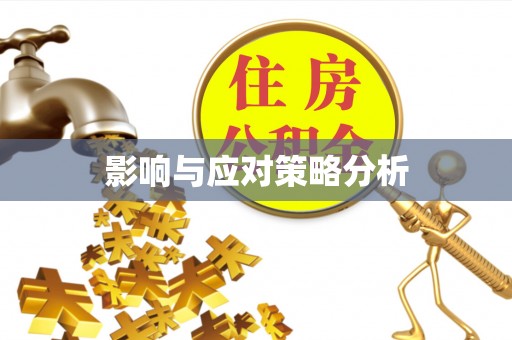 便民影响与应对策略分析