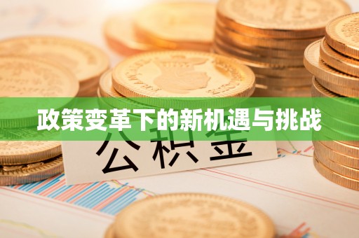 便民政策变革下的新机遇与挑战
